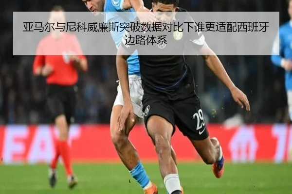 ya-ma-er-yu-ni-ke-wei-lian-si-tu-po-shu-ju-dui-bi-xia-shui-geng-shi-pei-xi-ban-ya-bian-lu-ti-xi-2-875.jpg
