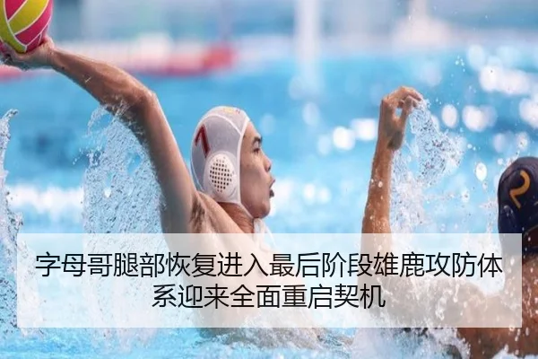 字母哥腿部恢复进入最后阶段雄鹿攻防体系迎来全面重启契机